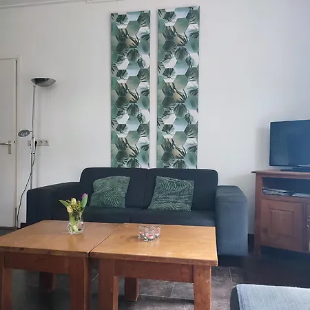 Wikkerink Holiday home *